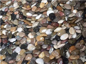 Polished Multicolor River Pebble,Pebble Stone,Pebble Tiles,Natural River Pebble Supplier