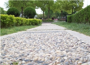 Multicolor Pebble / Mixed Pebble Stone, Polished Pebbles,Pebble Pattern, Garden River Stone Walkway Pebbles