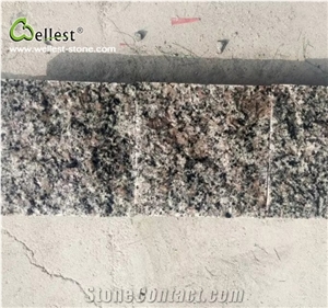 Wellest G300 Natural Granite Cube Stone, Outdoor Paving Cube Stone, Driveway, Walkway Floor Paving, Graden/Courtyrd