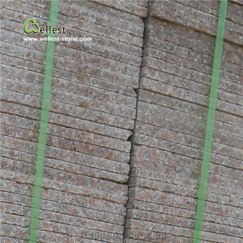 Wellest G368 Red Granite Tile Walkway Flooring Tile External Floor