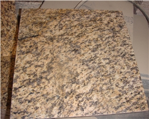 Building Material Tiger Yellow Granite Stone/Slabs/Tiles/Wall Tiles