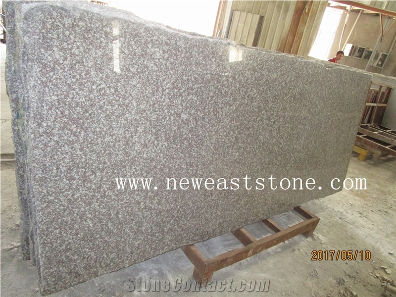 Chinese Majestic Mauve Violet Luoyuan G664 Granite Gravestones