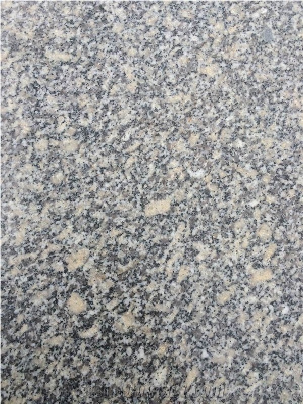 G602 Granite Slabs & Tiles, China Grey Sardo, Mayflower Snow Granite, Cristallo Grigio Granite
