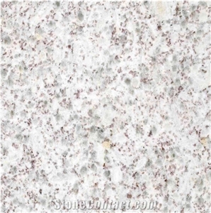 Pearl White/Lily White Polished Slabs for Wholesale