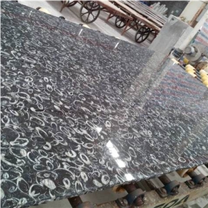 Seashell Flower Marble Tiles & Slabs/Sea Shell Marble Slabs,China Black Seashell Flower Marble Slabs