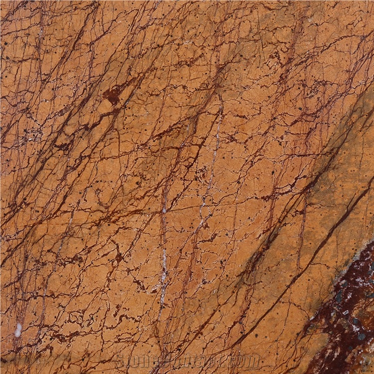 India Rain Forest Brown Marble