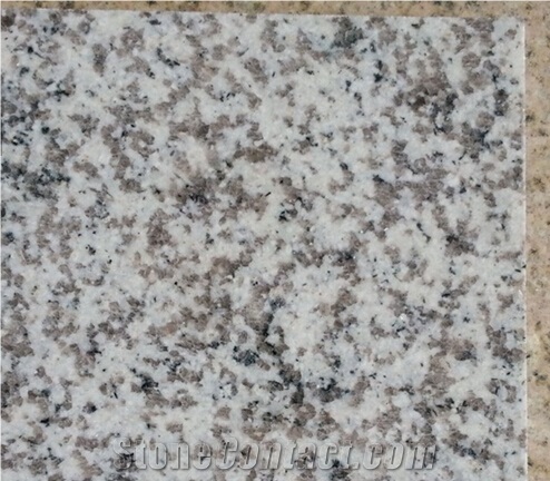 Silvery White Granite G655 Honed Floor Tile Wall Stone Outdoor Paver Bullnose Coping Tile