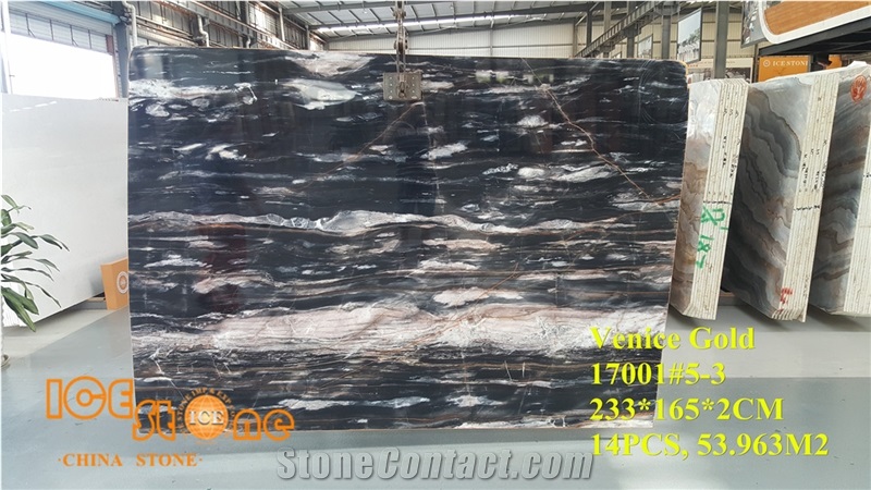 Venice Gold/Color Painting/Chinese Marble Slabs and Tiles/Black Marble Wall Covering Tiles