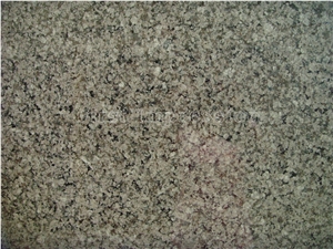 High Quality & Best Price Apple Green Granite Slabs & Tiles/ New Polished Granite Floor & Wall Covering Tiles/ Classic Green Granite Slabs