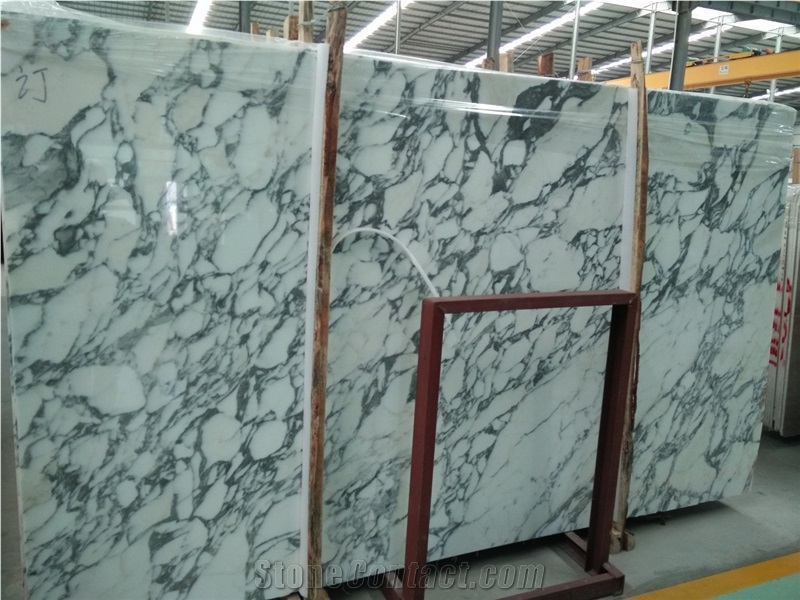 2cm Arabescato Carrara Marble Slab and Tiles, Arabescato Venato Marble Table Top Price