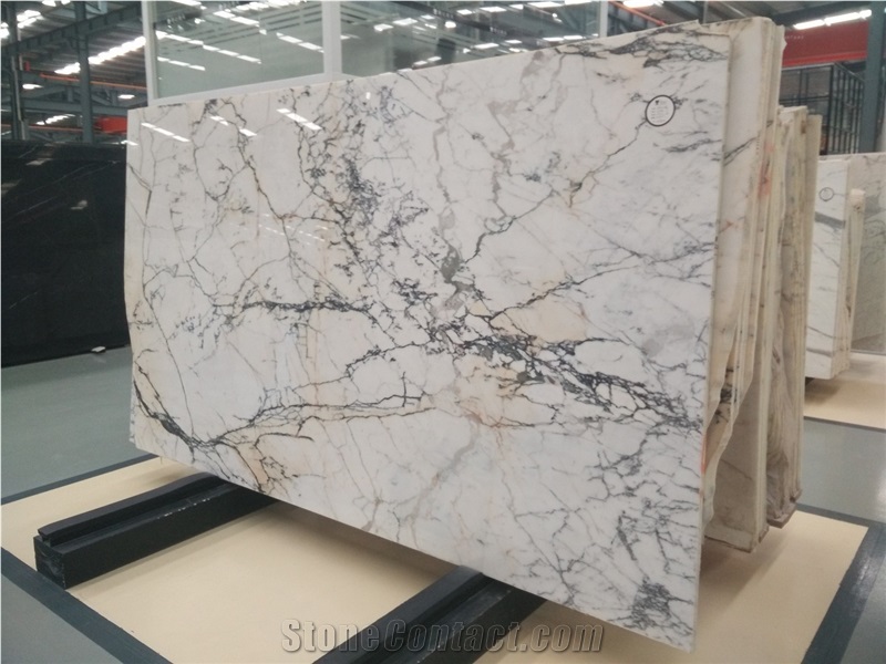 Italy Paonazzetto Marble Slab And Tiles Cremo Delicato Italy Paonazzetto Marble Slab And Tiles Cremo Delicato Countertop Calacatta Price
