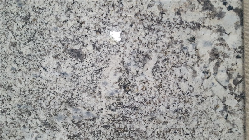 Oyster Pearl Granite Slabs & Tiles, India White Granite