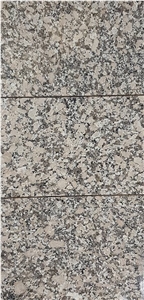 Mondariz Granite Tiles Polished