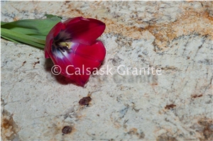 Exotic Brazil Granite Slabs