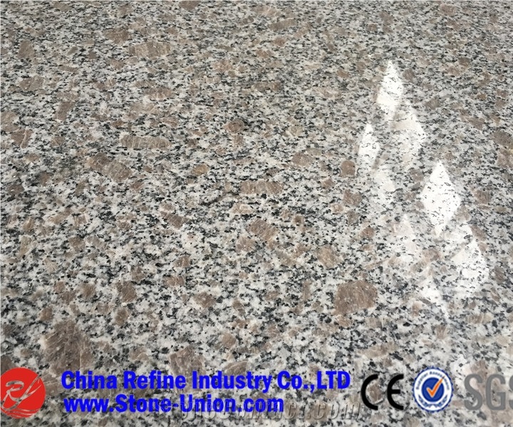 G383 Granite,G3783 Granite,Jade White,Pearl Blossom Of Zhaoyuan Granite,Pearl Flower Granite,Pearl White Granite,Zhaoyuan Flower Granite