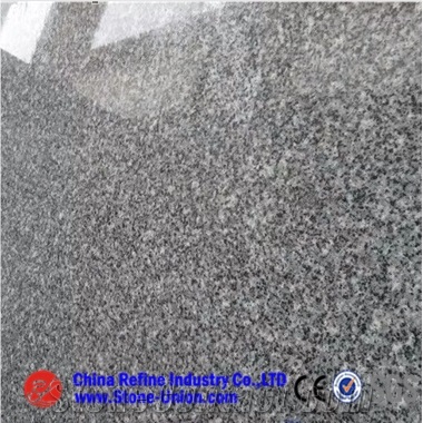 G640 Granite,G3540 Granite,New Grigio Sardo Granite,Padang G 640,Padang Gamma Granite,Padang Grigio Granite,China Bianco Sardo Granite