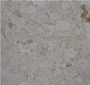 Fossilous Beige Marble Tiles & Slabs, Marble Skirting, Marble Wall Covering Tiles, Marble Floor Covering Tiles, Turkey Yellow Marble