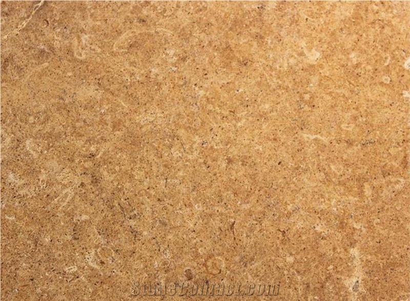 Indus Gold Marble Tiles & Slabs, Marble Skirting, Marble Wall Covering Tiles, Marble Floor Covering Tiles, Palestine Yellow Marble