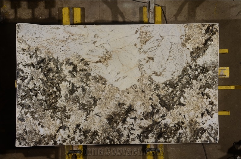 Exotic Alpinus White Granite Polishing Slab and Tile