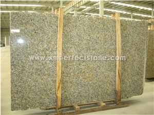 Gangsaw Slab Brazil Granite Stone Slab for Butterfly Beige Granite