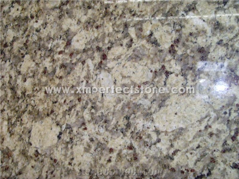 Giallo Napoli Granite/New Venetian Granite/Napoli Gold Granite Brazil Big Slab&Tiles