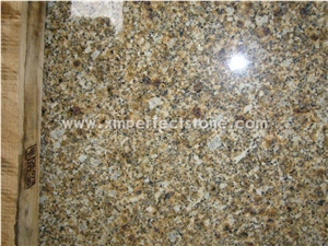 Gold Jasmine Granite/Giallo Jasmine Granite/Jasmine Gold Granite Big Slabs Brazil Yellow Granite