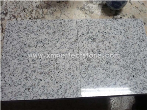Polished Shandong White Granite/G358 Granite/Sesame White Granite Tiles/Slabs/Small Slabs