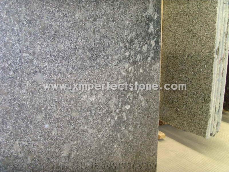 Steel Grey Granite/Steel Gray Granite/Silver Grey Granite from India Granite Slabs