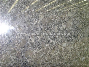 Steel Grey Granite/Steel Gray Granite/Silver Grey Granite from India Granite Slabs