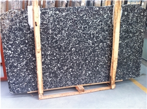 Seashell Flower Slabs & Tiles, China Black Marble