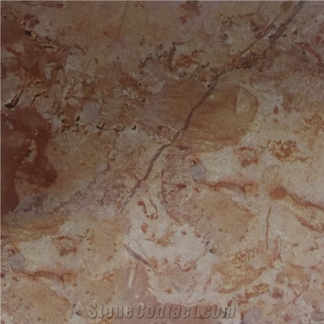 Breccia Sinai Beige Limestone Slabs Tiles