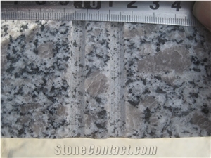 Shandong G383 Pearl Flower Granite/ Light Grey Granite G383 Granite Wall Covering Tiles /Floor Covering Slabs/ G383 Granite Skirting