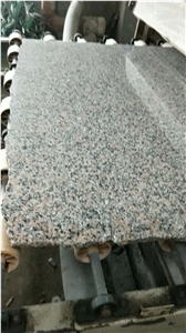 Xili Red Granite Tiles Old Quarry/Granite Tiles/Granite Slabs/Granite Floor Tiles/Granite Wall Tiles/Granite Floor Covering/Granite Wall Covering