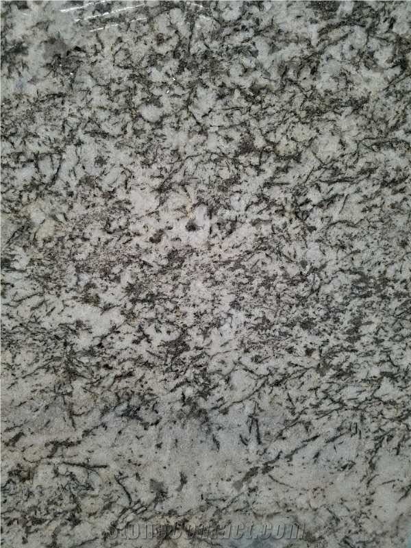 Indian Alaska White Granite Slabs & Tiles
