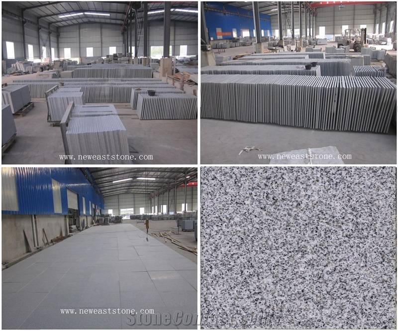Cheap China Grey Sardo New G603 Different Types Of Granite Flooring Tile 24x24