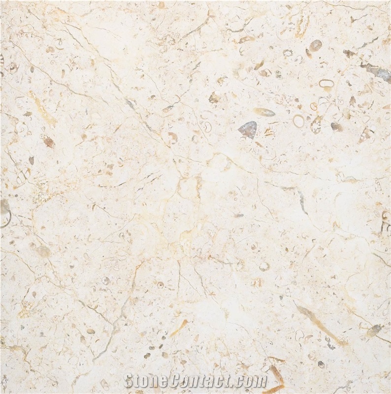 Jerusalem White Limestone Slabs & Tiles