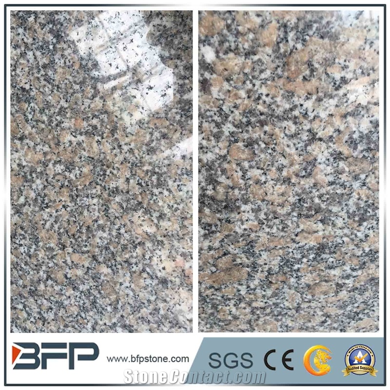 The Most Econonic and Stable Grey New Color- G608 Granite for Flooring Tiles
