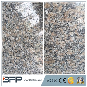 The Most Econonic and Stable Grey New Color- G608 Granite for Flooring Tiles