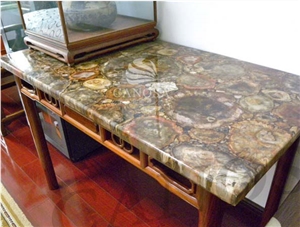 Petrified Wood Growth Ring Texture Slab for Table Top and Surface