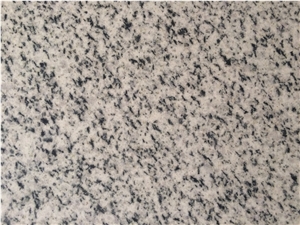 Bianco Halayeb Granite Tiles