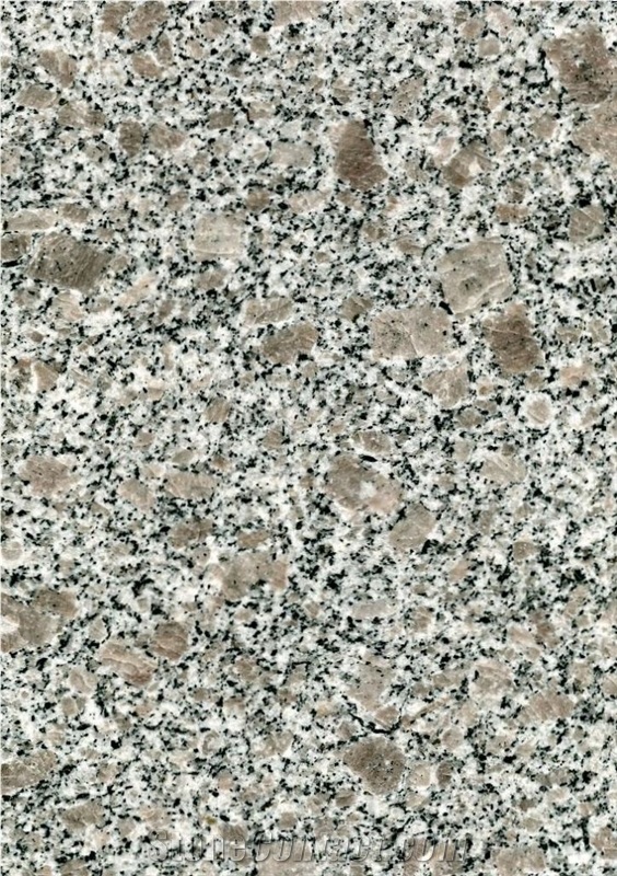 Best Quality China G383 Pearl Flower Granite Shandong Pink Granite Tiles Slabs Panel Cut for Granite Wall Covering Granite Floor Covering Gofar
