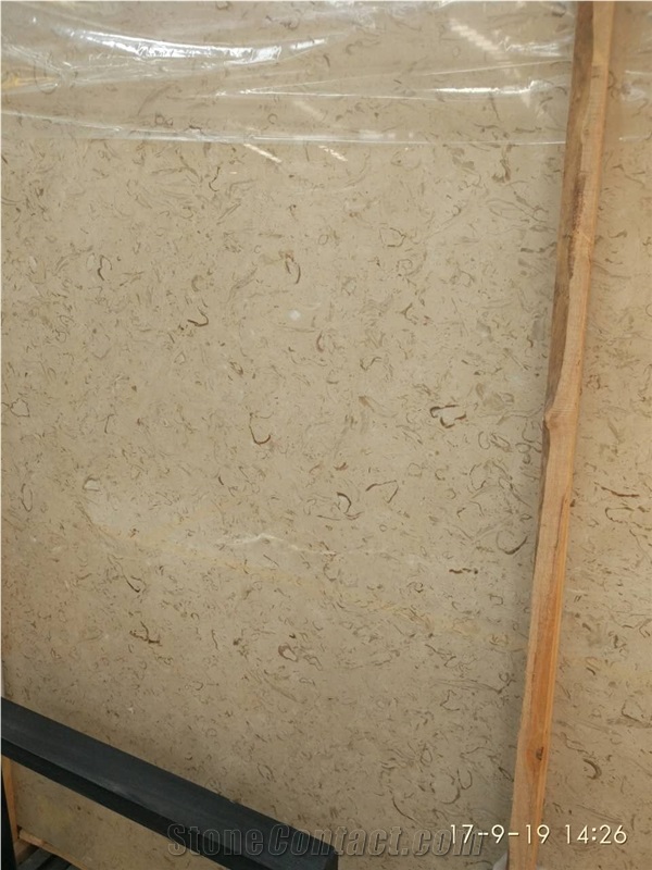 Best Quality Iran Fossil Beige Limestone Tiles Slabs Panel Cuts for Limestone Flooring Limestone Wall Tiles Shell Stones Limestone Pattern Gofar