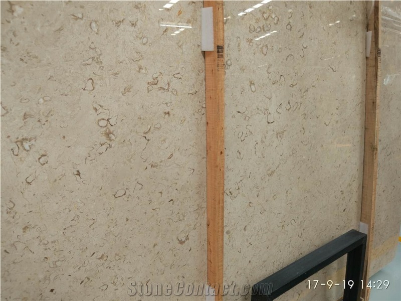Cheap Iran Cream Fossil Beige Limestone Tiles Slabs Panel Cuts for Flooring Limestone Wall Covering Shell Stones Limestone French Pattern Gofar