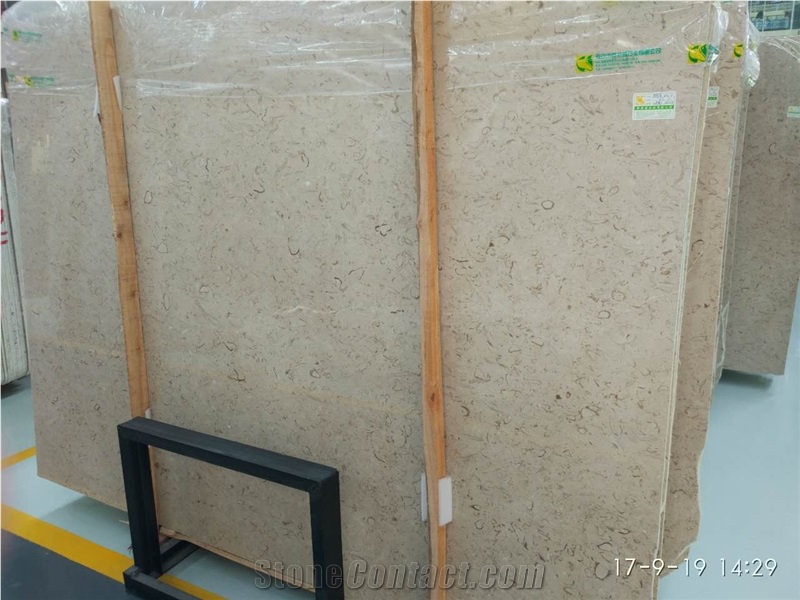 Discount Iran Cream Fossil Beige Limestone Tiles Slabs Panel Cut for Flooring Limestone Wall Covering Coral Stone Pattern French Opus Pattern Gofar