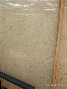 Discount Iran Cream Fossil Beige Limestone Tiles Slabs Panel Cut for Flooring Limestone Wall Covering Coral Stone Pattern French Opus Pattern Gofar