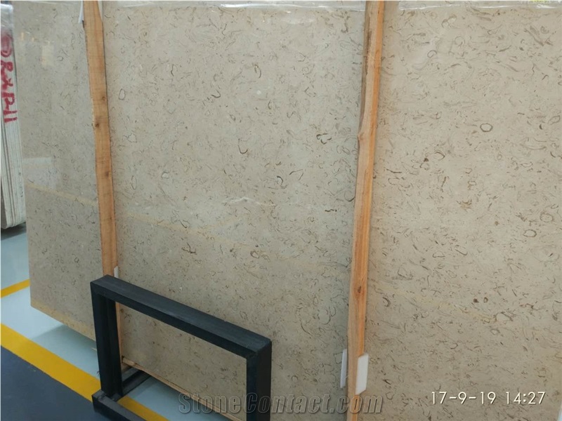 Discount Iran Fossil Beige Limestone Tiles Slabs Panel Cuts for Limestone Flooring Limestone Wall Tiles Shell Stones Limestone Pattern Gofar
