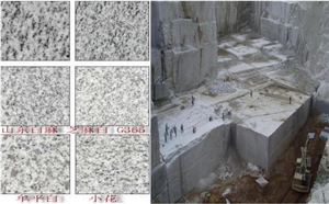 Discount Shandong White Sesame Granite Tiles Slabs Cut for Granite Wall Covering, Granite Floor Covering Granite Wall Tiles Granite Pattern Gofar