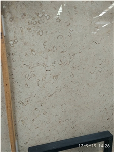 Polished Iran Fossil Beige Limestone Tiles Slabs Panel Cuts for Limestone Flooring Limestone Wall Tiles Shell Stones Limestone Pattern Gofar