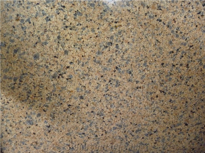 China Desert Brown Granite, Tile and Slab for Wall Covering and Floor Use,Direct Factory Own Quarry with Ce Certificate,Cheap Price Natural Stone