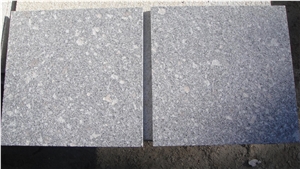 G375 China Shandong Gray Granite for Paving,Floor Tile and Slab,Wall Covering,Direct Factory Own Quarry with Ce,Cheap Price Natural Stone
